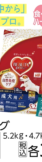 ビューティープロドッグ　成犬用１歳から　５．２ｋｇ