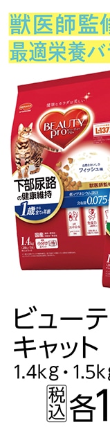 ビューティープロキャット　猫下部尿路１歳１．４ｋｇ