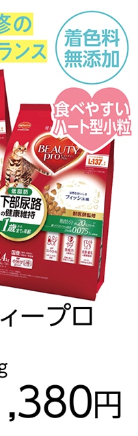 ビューティープロキャット下部低脂肪１歳１．４ｋｇ　