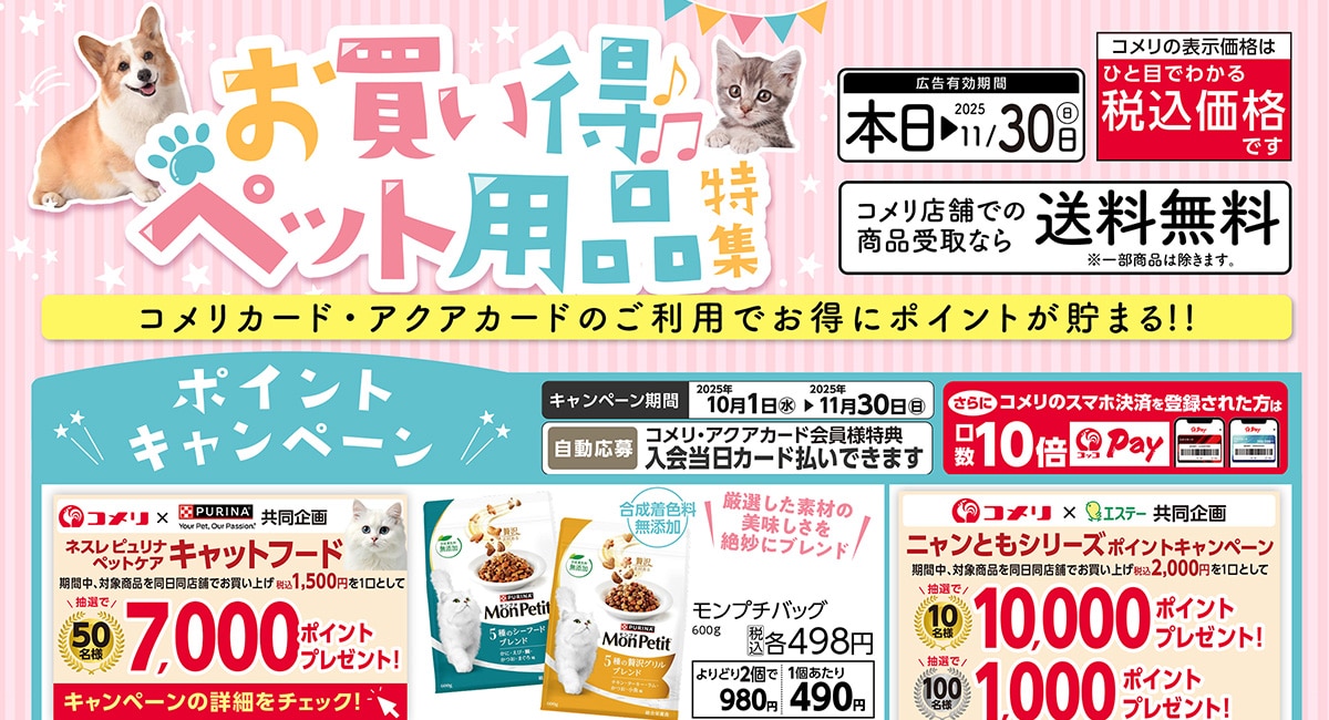 お買い得ペット用品特集