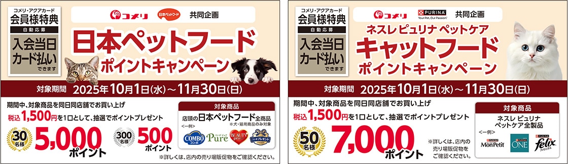 イチオシキャンペーン