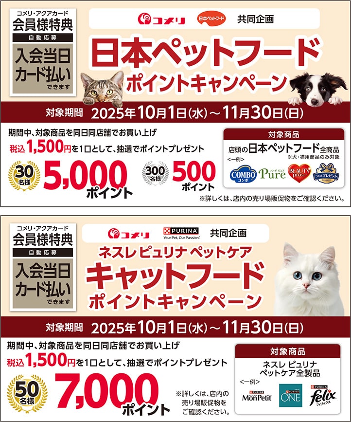 イチオシキャンペーン