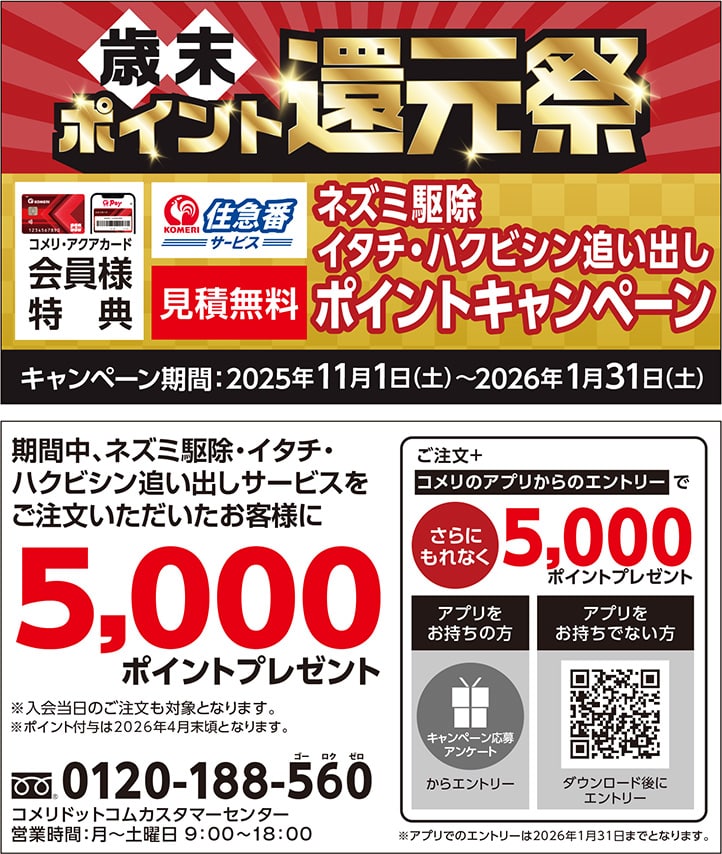 イチオシキャンペーン