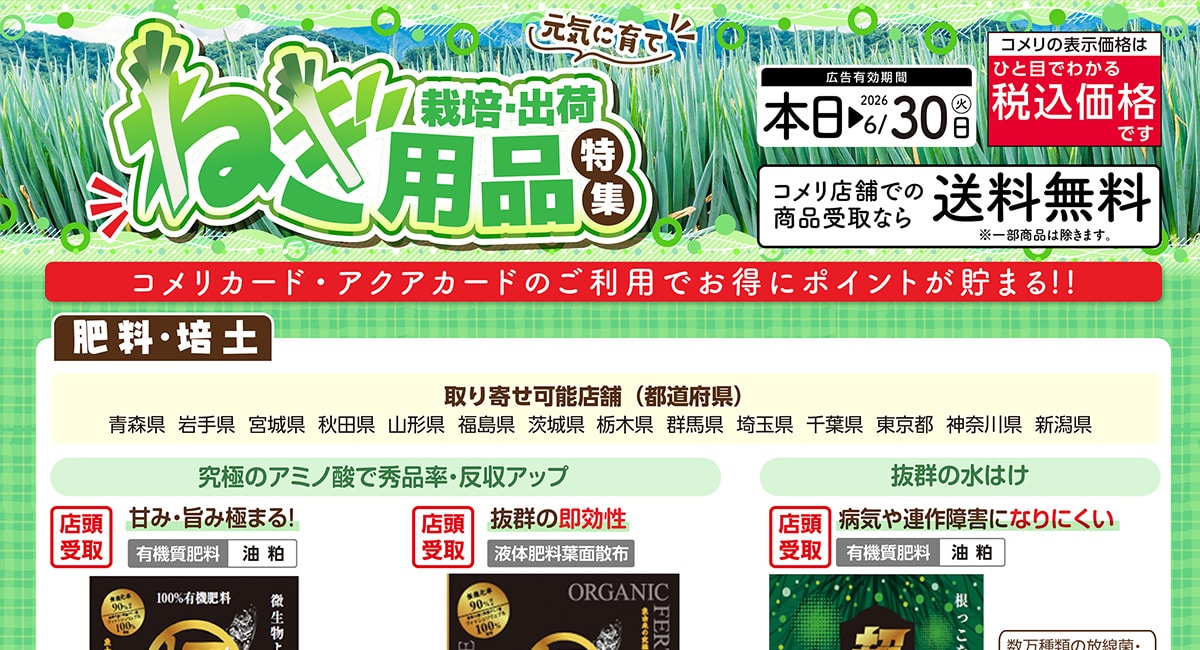 ねぎ用品特集