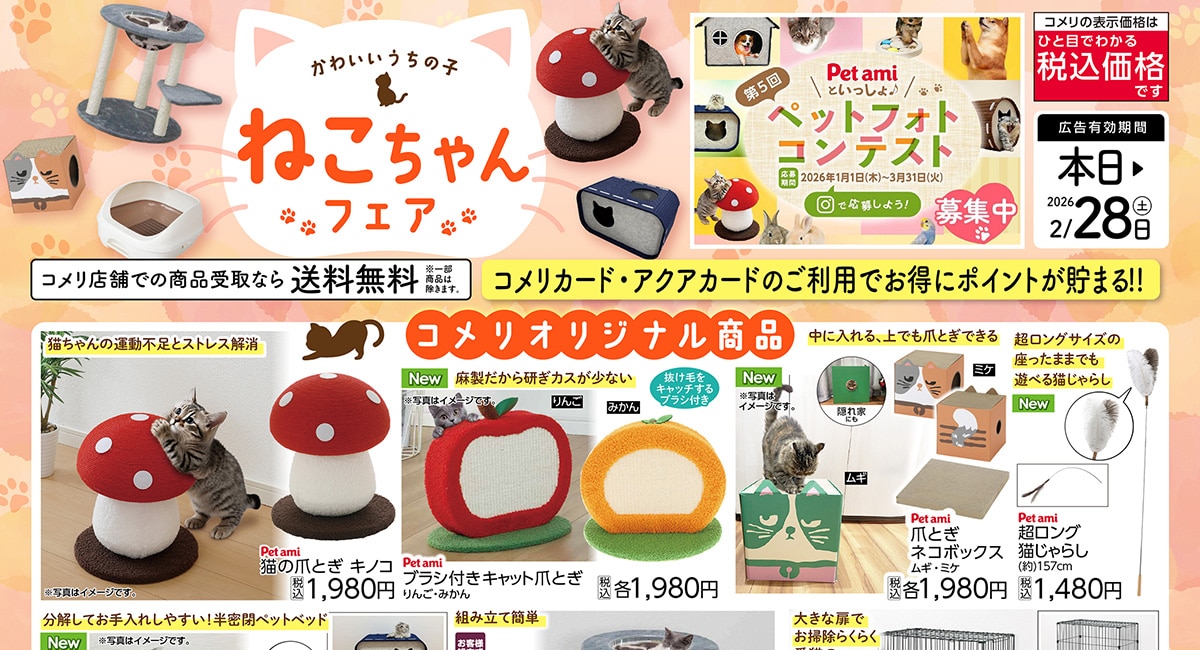 ねこちゃんフェア