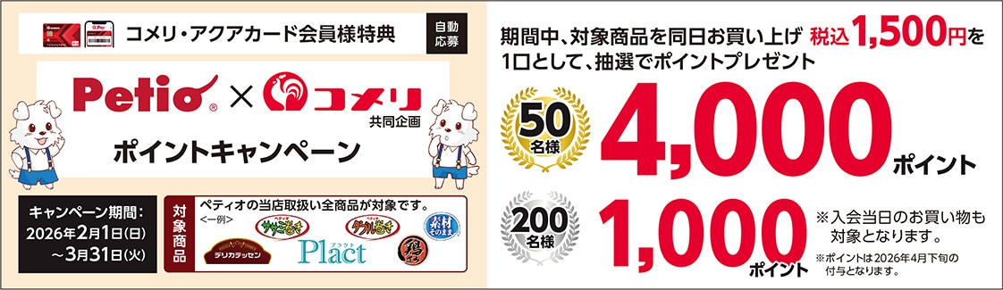 イチオシキャンペーン