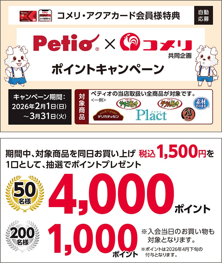 イチオシキャンペーン