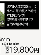 リアル人工芝　３５ｍｍ　１×１０ｍ　原反　　　　　
