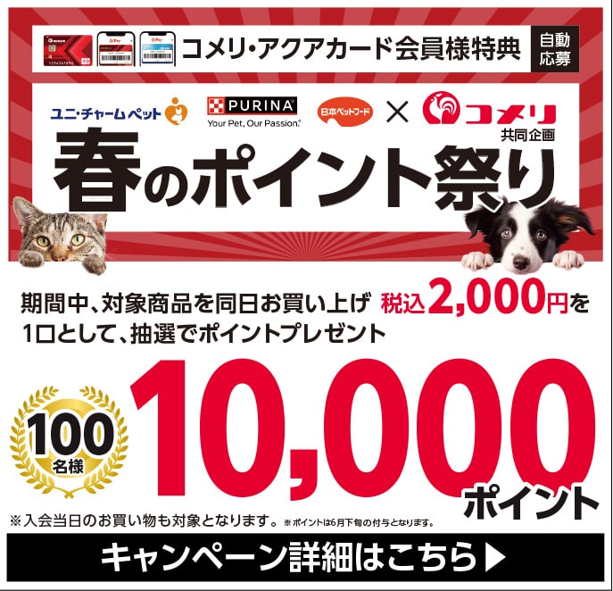 ユニ・チャームペット・ネスレピュリナ・日本ペットフード　春のポイント祭り