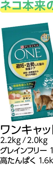 ワンキャット　避妊・去勢　チキン　２ＫＧ
