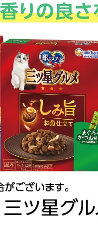 三ツ星グルメ　しみ旨　かつお味かつお節　１９２ｇ