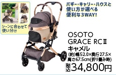 ＯＳＯＴＯ　ＧＲＡＣＥ　　ＲＣＩＩ　キャメル
