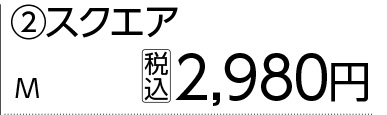 ふんわり冷感ペットベッド　スクエア　Ｍ　Ｎ６ＳＳ