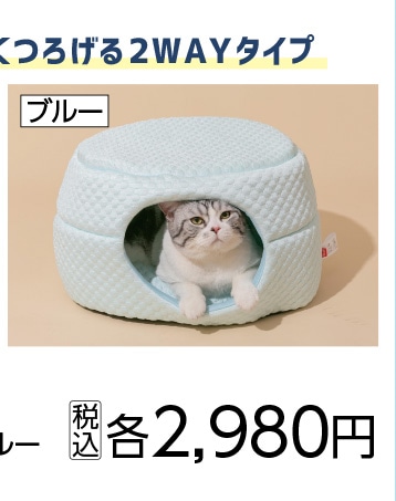 ふんわり冷感２Ｗａｙハウス　ミントブルー　Ｎ６ＳＳ