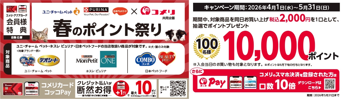 イチオシキャンペーン