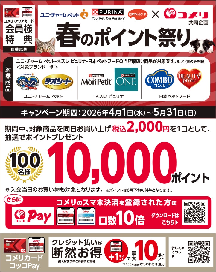 イチオシキャンペーン