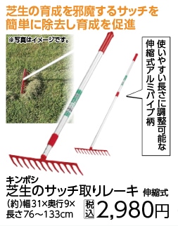 芝生のサッチ取りレーキ（伸縮式）