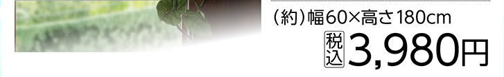 遮熱遮光ロールスクリーン　ＧＹ　６０×１８０ｃｍ　
