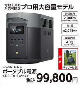 ＥｃｏＦｌｏｗ　ＤＥＬＴＡ　２　Ｍａｘ　　　　　　
