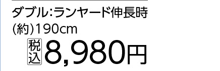 ダブルランヤード
