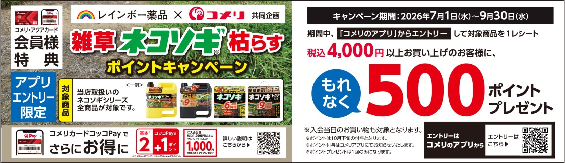 イチオシキャンペーン