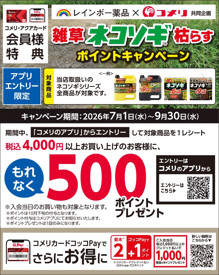 イチオシキャンペーン