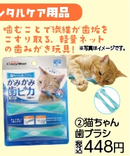 猫ちゃん歯ブラシ　かみかみ歯ピカ　　　　　　　　　