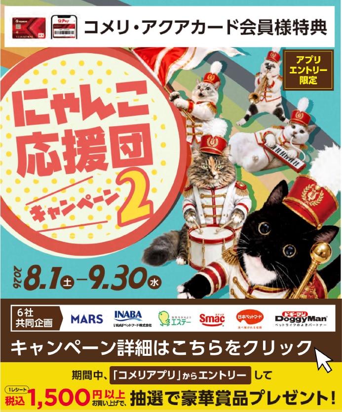にゃんこ応援団キャンペーン2