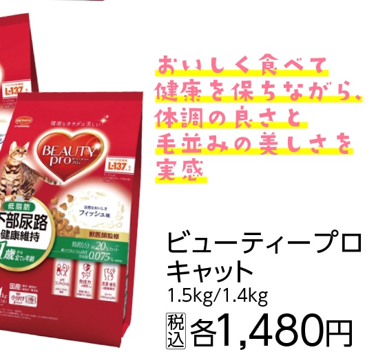 ビューティープロキャット　下部低脂肪１歳１．４ｋｇ