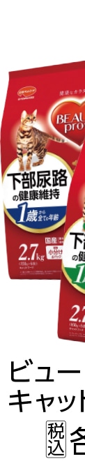 ビューティープロキャット　下部尿路　２．７ｋｇ　　