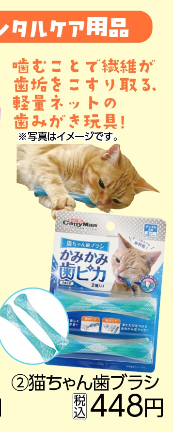 猫ちゃん歯ブラシ　かみかみ歯ピカ　　　　　　　　　