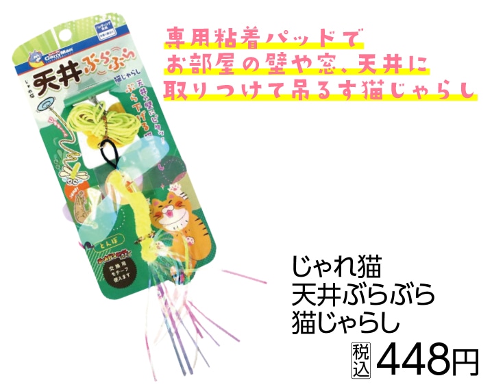 じゃれ猫　天井ぶらぶら猫じゃらし　とんぼ　　　　　