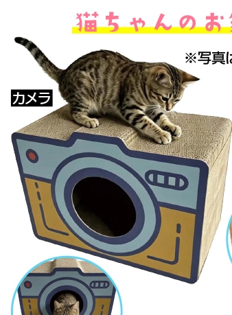 Ｐｅｔａｍｉ　爪とぎ　カメラ　　　　　　　　　　　