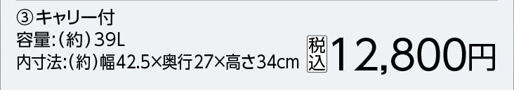 ＢＴシステムツールボックスキャリー付　３２０４１２