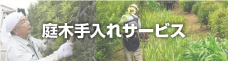 庭木の手入れサービス