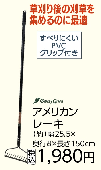 ＢＧ　アメリカンレーキ　ＨＴ３１７３２