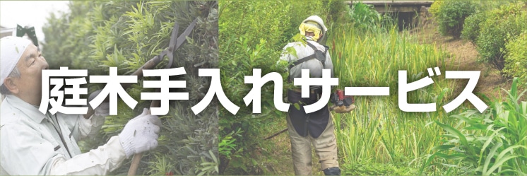 庭木の手入れサービス