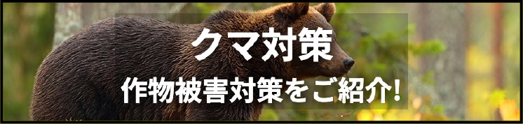 クマ対策