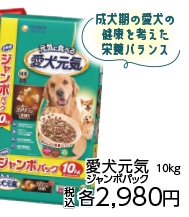 愛犬元気　ささみ・ビーフ・緑黄色野菜入り　１０ｋｇ