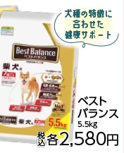 ベストバランス　カリカリ　柴犬用　７歳　５．５ｋｇ