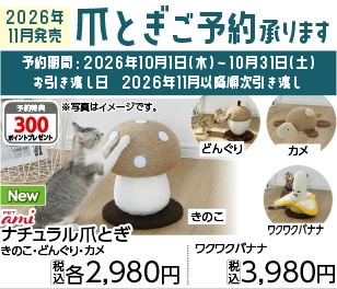 爪とぎ予約