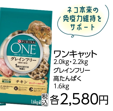 ピュリナワンキャットグレインフリーチキン１．６ＫＧ