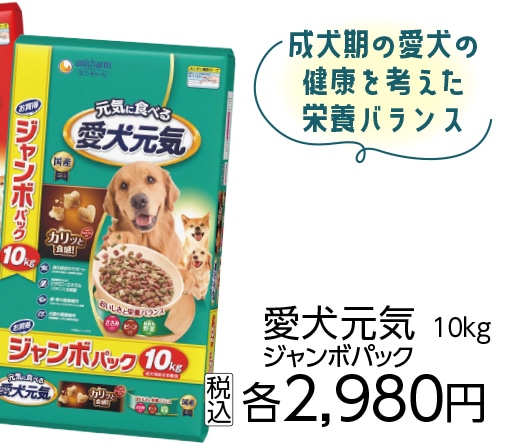 愛犬元気　ささみ・ビーフ・緑黄色野菜入り　１０ｋｇ