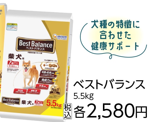 ベストバランス　カリカリ　柴犬用　７歳　５．５ｋｇ