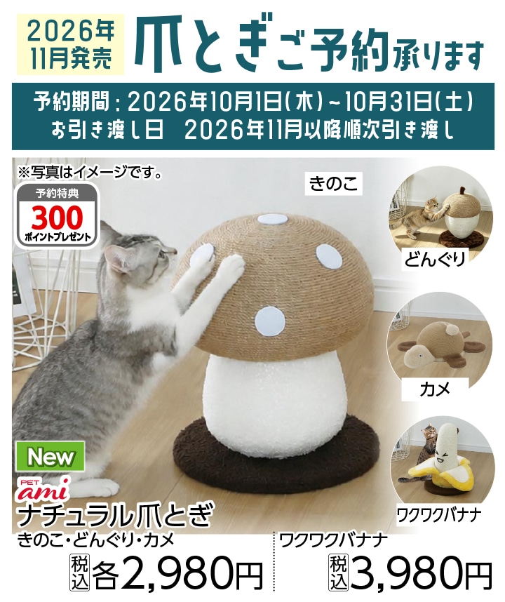 爪とぎ予約