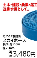 スカイホース　Ｂ１　１０Ｍ