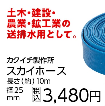 スカイホース　Ｂ１　１０Ｍ