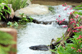 菜園 ガーデン倶楽部 コメリドットコム コメリが応援 家庭菜園とガーデニングを楽しもう