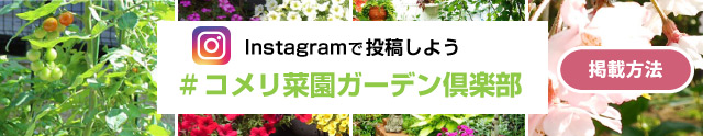 菜園 ガーデン倶楽部 コメリドットコム コメリが応援 家庭菜園とガーデニングを楽しもう