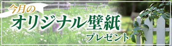 �����̃I���W�i���ǎ��v���[���g